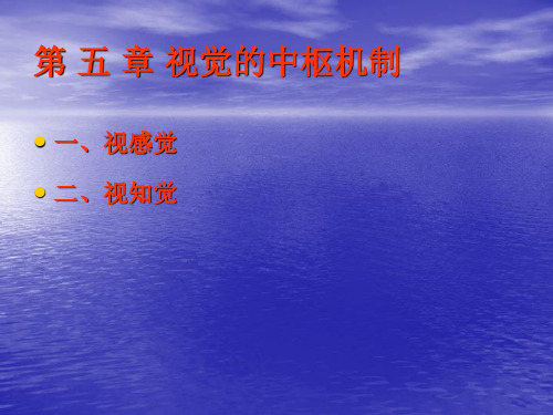 视觉的中枢机制