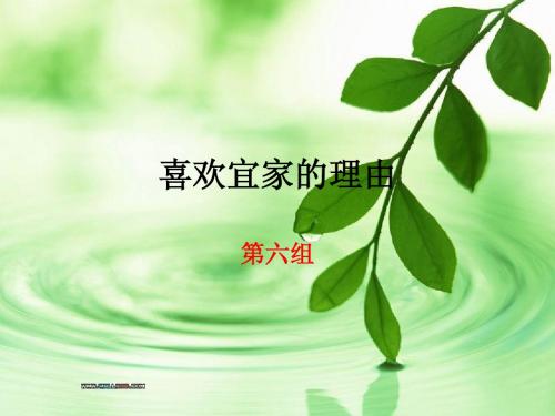 第六组.宜家ppt