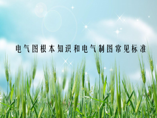 电气图基本知识和电气制图常见规范幻灯片PPT