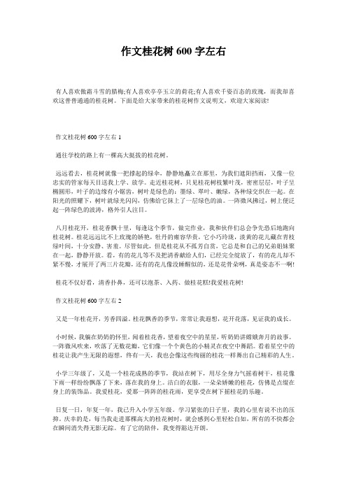 作文桂花树600字左右