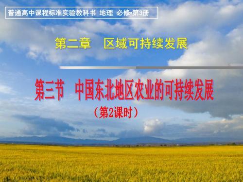 【高中地理】中国东北地区农业的可持续发展ppt7