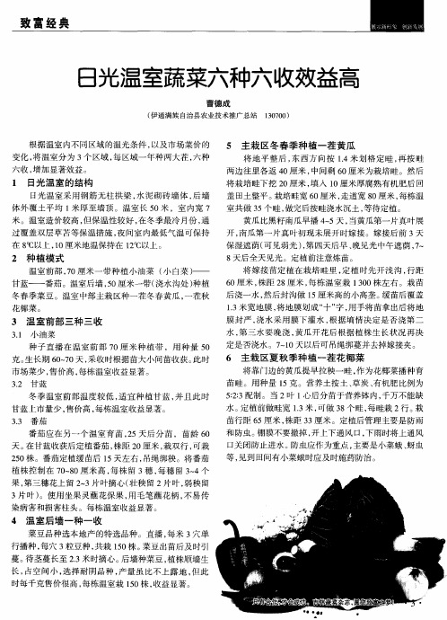 日光温室蔬菜六种六收效益高