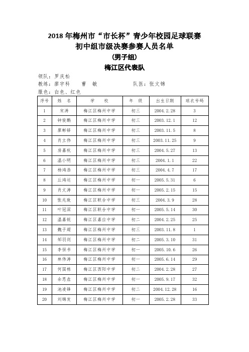2018年梅州市市长杯青少年校园足球联赛