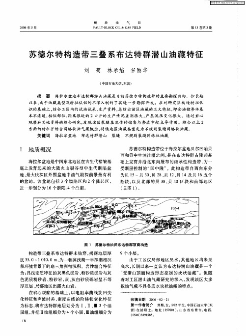 苏德尔特构造带三叠系布达特群潜山油藏特征