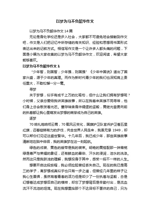 以梦为马不负韶华作文14篇