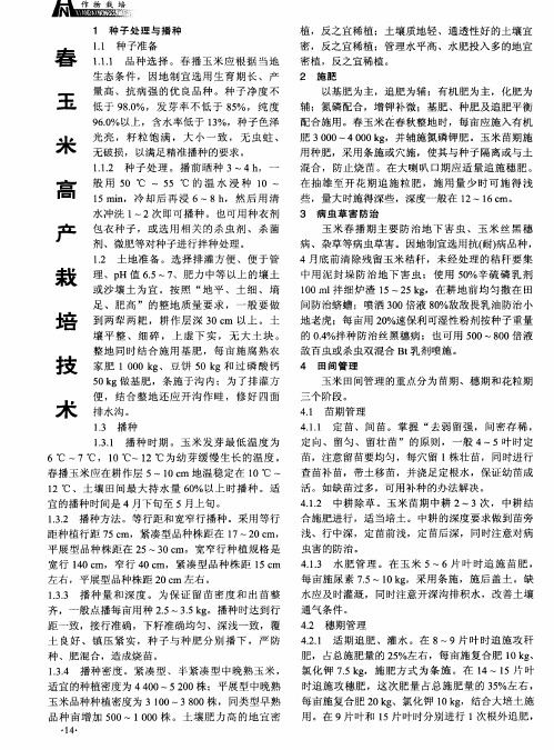 春玉米高产栽培技术