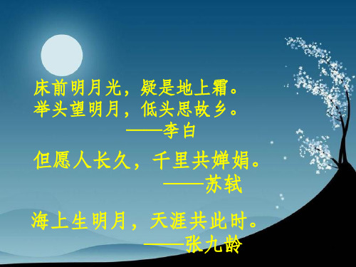 《记承天寺夜游》中考复习ppt课件