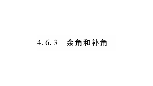 4.6.3余角和补角