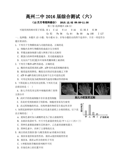 广东省高州二中2016届高三上学期12月月考理综生物试题