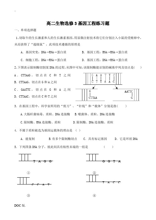 高二生物选修3基因工程练习题