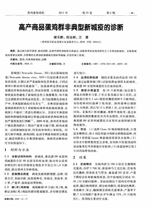 高产商品蛋鸡群非典型新城疫的诊断