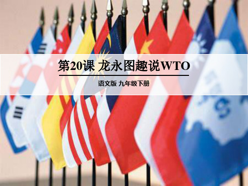 《龙永图趣说WTO》PPT课件(上课用)