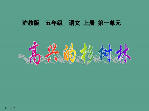 【小学语文】《快乐的杉树林》(沪教版五年级上册)ppt课件
