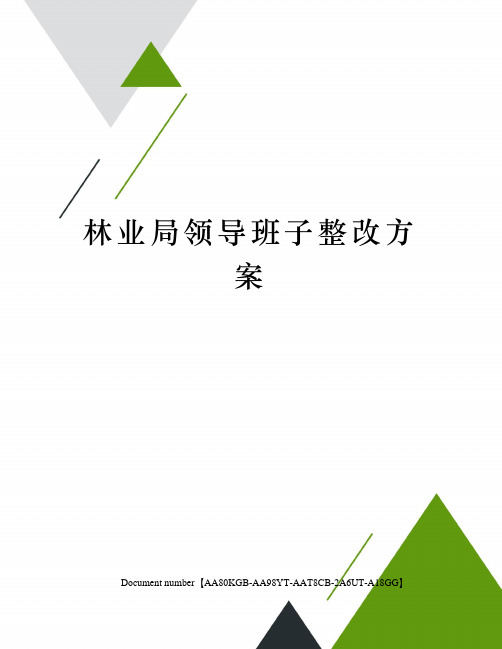 林业局领导班子整改方案修订稿