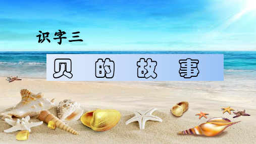 部编教材二年级下册语文《“贝”的故事》完美课件ppt