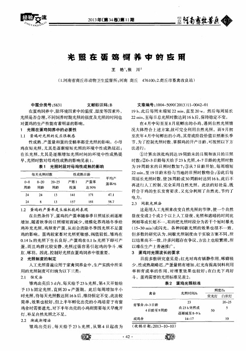光照在蛋鸡饲养中的应用