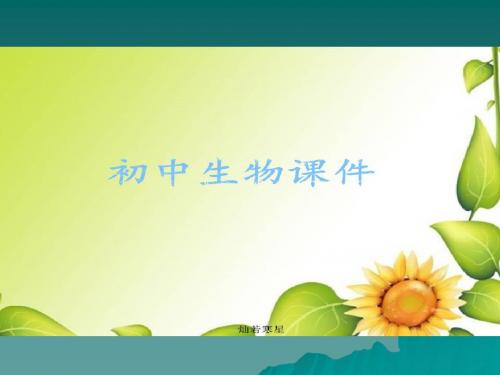 人教版生物七上第九章节肢动物门