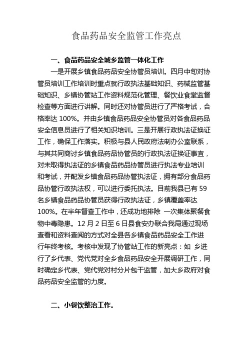 食品药品监管工作亮点