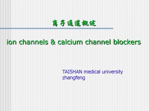 第27章  离子通道概论(心血管系统药理)