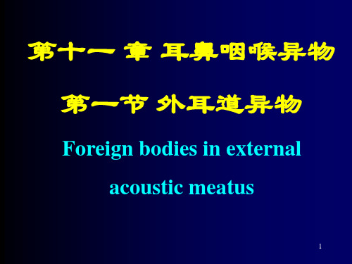 耳鼻咽喉异物PPT课件