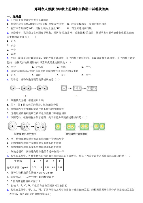 郑州市人教版七年级上册期中生物期中试卷及答案