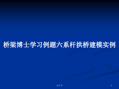 桥梁博士学习例题六系杆拱桥建模实例PPT学习教案