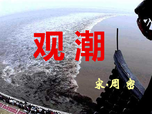人教新课标四年级语文上册《观潮》课件