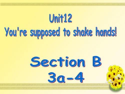 新目标九年级英语Unit12 Section B(3a-4)
