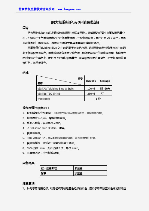 肥大细胞染色液(甲苯胺蓝法)