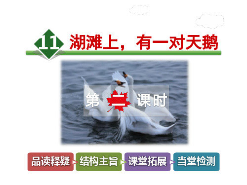 【冀教版教材适用】三年级语文上册《11.湖滩上,有一对天鹅【第2课时】》(附答案)