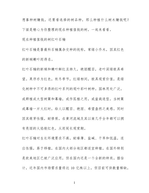 最新种植什么树才值钱