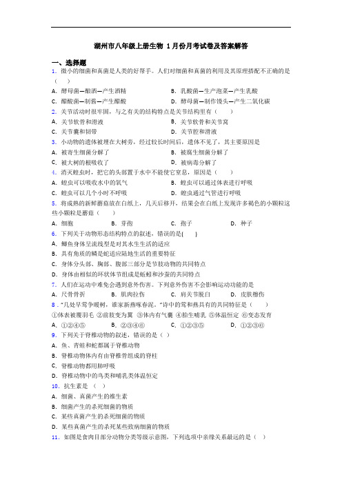 湖州市八年级上册生物 1月份月考试卷及答案解答