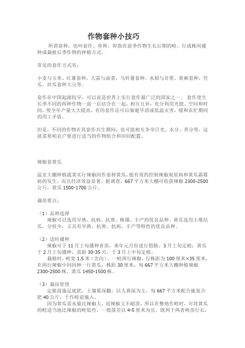 作物搭配小技巧