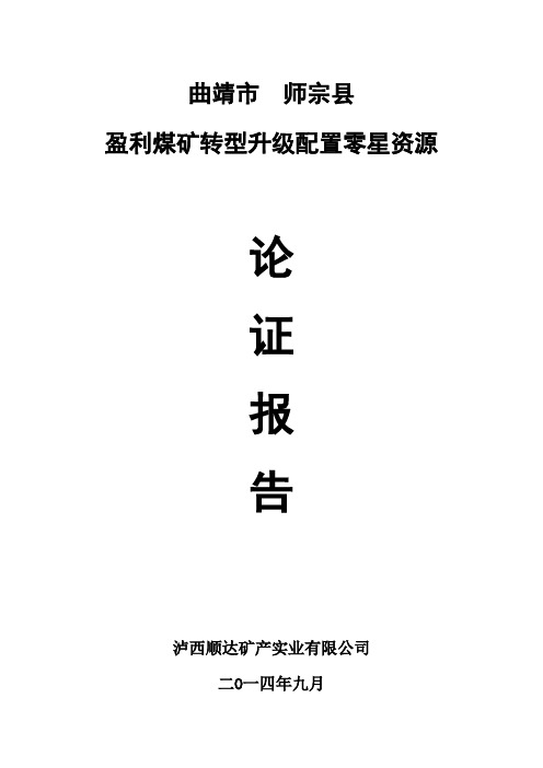 师宗县盈利煤矿煤炭资源配置论证报告
