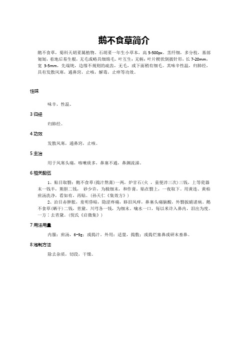 鹅不食草简介