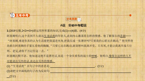 安徽中考语文 专题二 小语段阅读