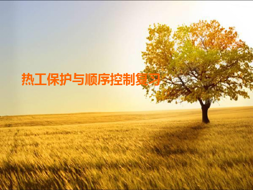 热工保护与顺序控制复习