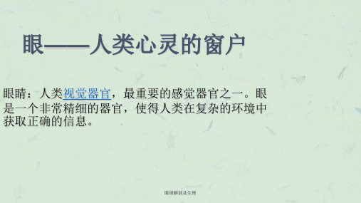 眼球解剖及生理课件
