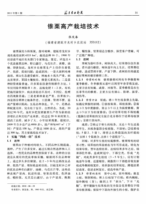 锥栗高产栽培技术