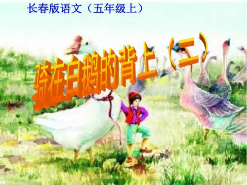 骑在白鹅的背上(二)