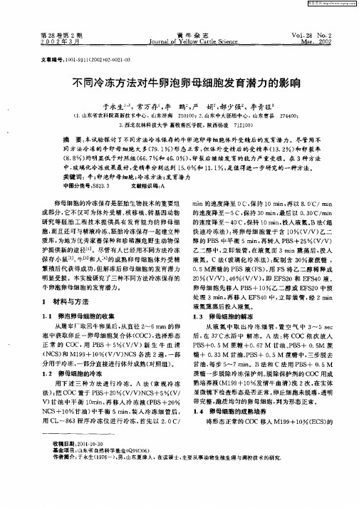 不同冷冻方法对牛卵泡卵母细胞发育潜力的影响