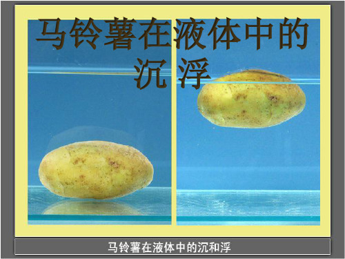 五年级下册科学课件 -1.7  马铃薯在液体中的沉浮｜教科版 (共9张PPT)