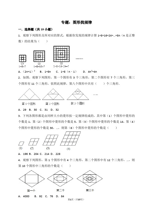 中考数学复习专题图形规律