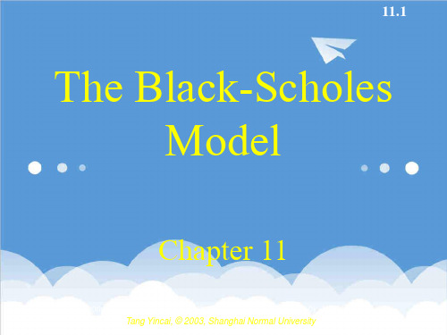 金融保险-BlackScholesModel金融工程华东师范大学汤银才 精品