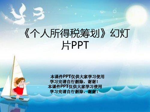 《个人所得税筹划》幻灯片PPT