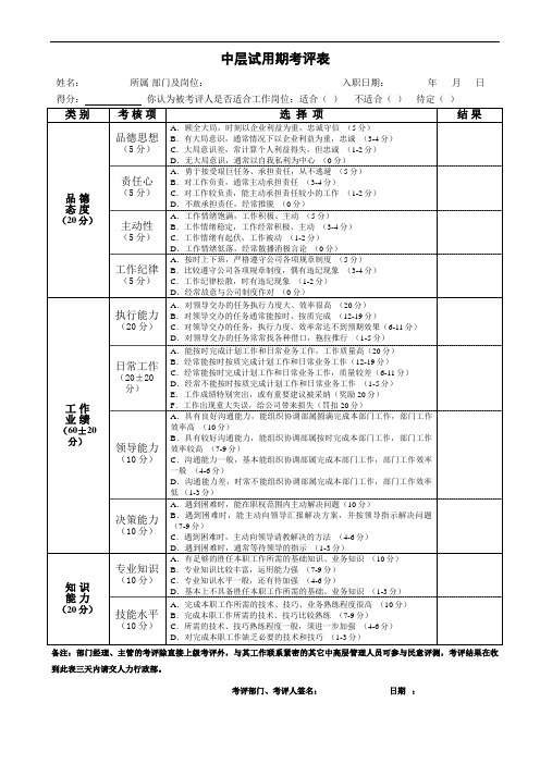 中层试用期考评表