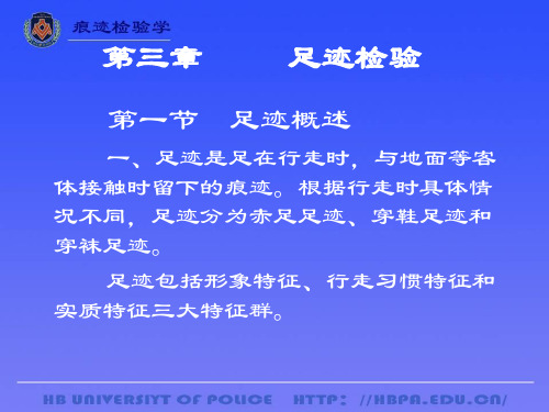 足迹检验
