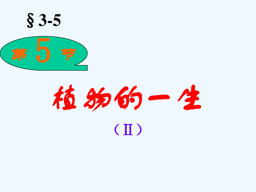 七年级科学下册《植物的一生》课件4 浙教版