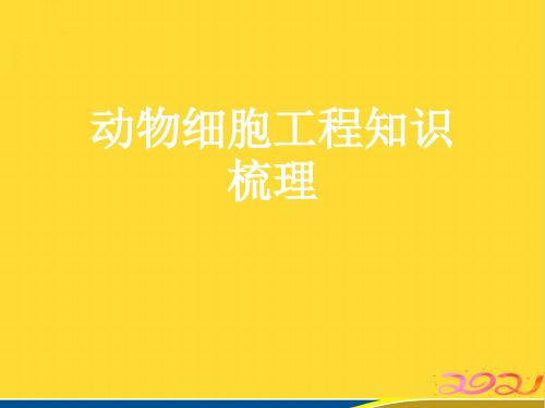 动物细胞工程知识梳理(标准版)ppt资料