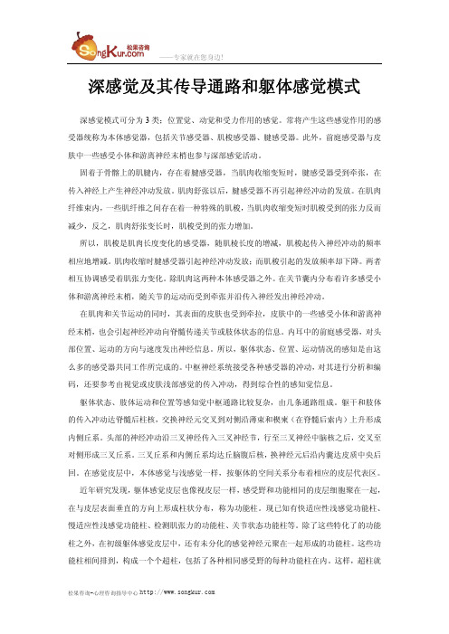 深感觉及其传导通路和躯体感觉模式